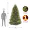 9 ft. Unlit Dunhill&#xAE; Fir Full Artificial Christmas Tree
